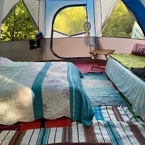 https://tente-octogonale-sous-les-arbres.fr-provencehotel.com